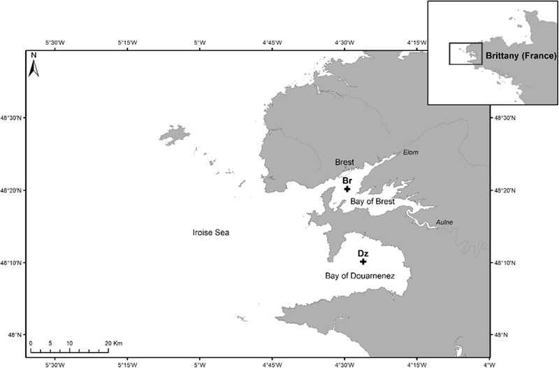 1692687502409491ZfJy.png 圖片1.png