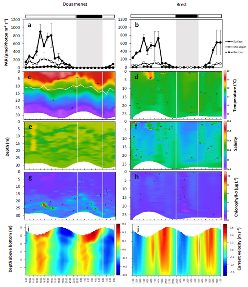 1692687592581414Ys2s.png 圖片3.png