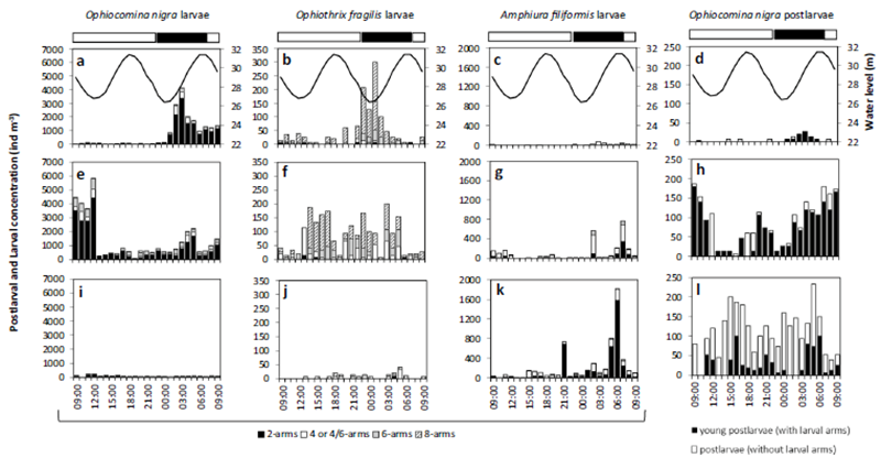 1692687615773743GAYI.png 圖片4.png