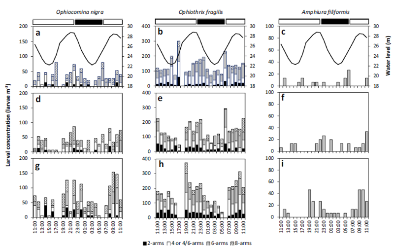 169268763767455606hV.png 圖片5.png