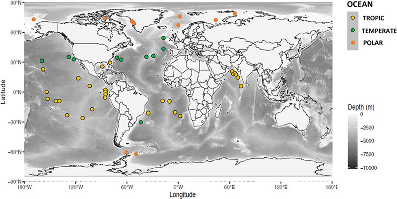 1740381108147295B8LM.png 圖片1.png