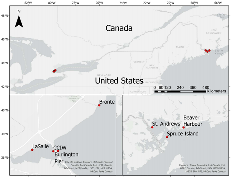 1750754859341813vNkz.png 圖片1.png